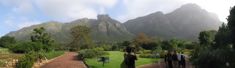 Kirstenbosch