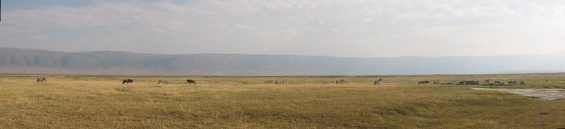 Ngorongoro inside