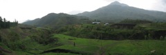 Ethiopian Farm