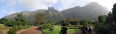 Kirstenbosch