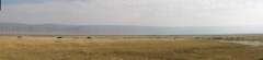 Ngorongoro inside